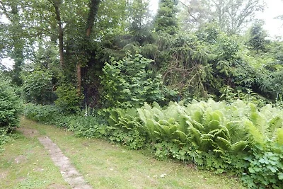 Das Eulenhaus Gohlau 20A