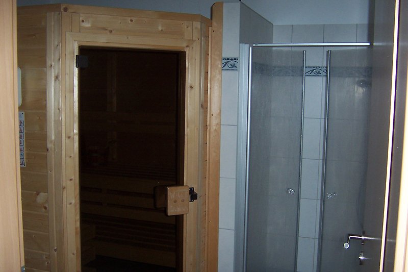 Sauna in the bathroom
