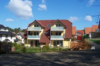 Küstenwald 5