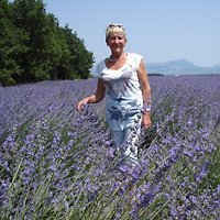 Frau H. Ambord Frau H. Ambord