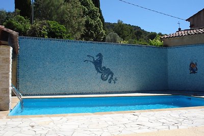 PROVENCE VAKANTIE huis met zwembad