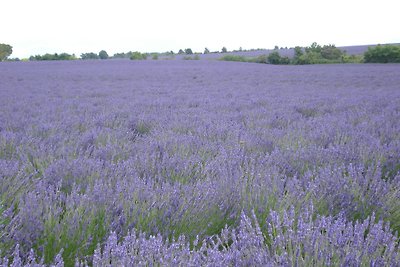 Gite Provence