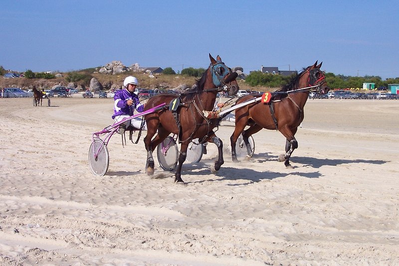Courses de chevaux sur le sable à Plouescat