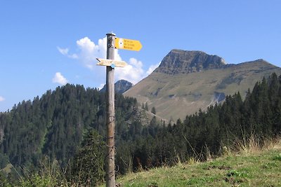 Gruyère Maiensäss met WiFi