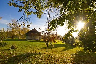 Sittichhaus und Hütte + Außen Sauna