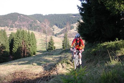 Ferienwohnung Fröhlich