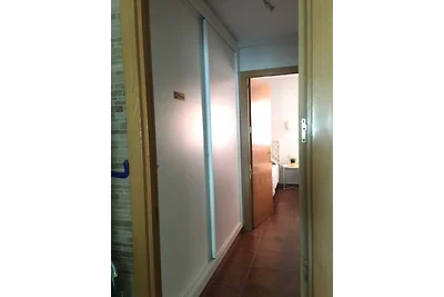 Malvarrosa E