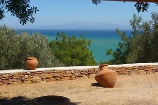 Villa spiti Elaionas in Chios