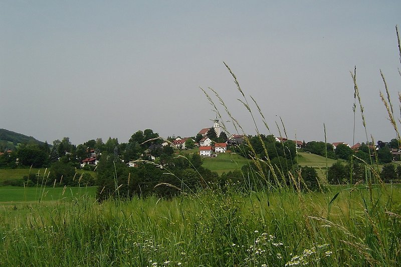 Pogled na Stamsried