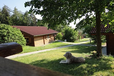 Cabina di legno Weil