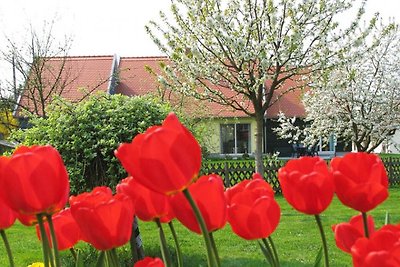 Casa de vacaciones Zum Eichberg