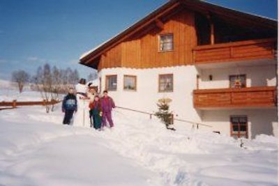 ****Ferienwohnung Müller