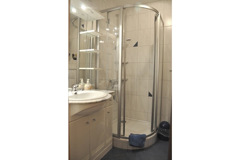 Duschbad, WC, großer Spiegel und Sprossenheizkörber