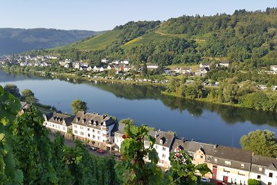 Waldeck's Moselparadies Zell Mosel