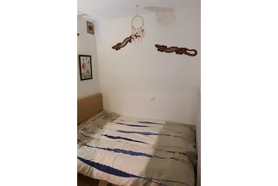 Bungalow Palmeras B6