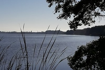 Rintelmann am Steinhuder Meer