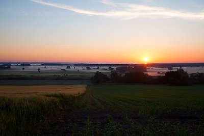 Ferienwohnung Sabine Rintelmann am Steinhuder Merr in Hagenburg