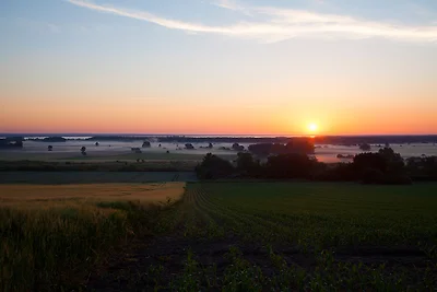 Rintelmann am Steinhuder Meer