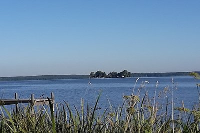 Rintelmann am Steinhuder Meer