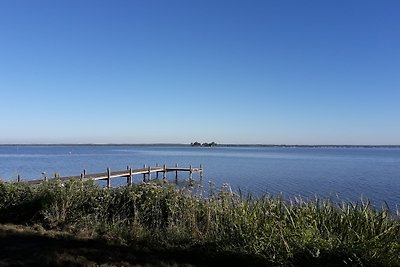 Rintelmann am Steinhuder Meer