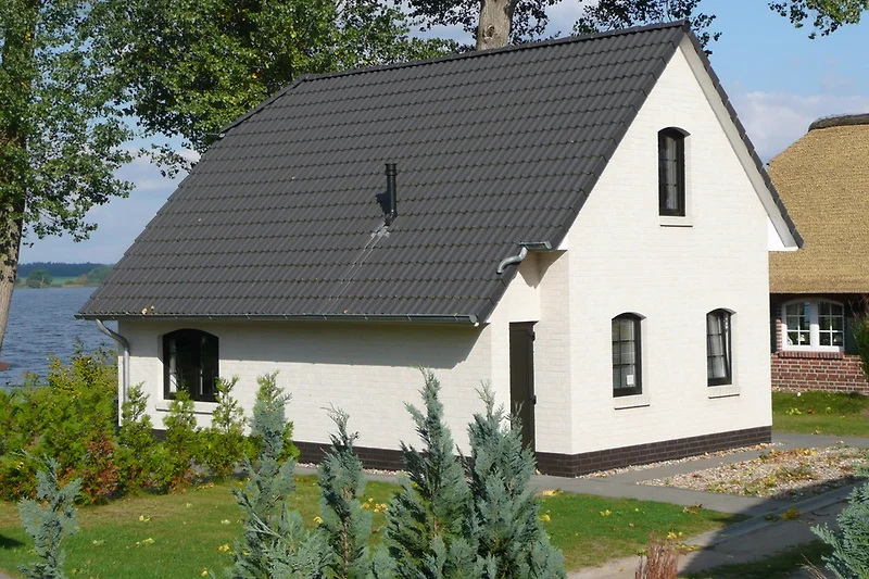 Vakantiehuis in de bergen met een prachtig uitzicht op de besneeuwde toppen. Het houten huis heeft een groot terras en een gezellige woonkamer met een open haard. Ideaal voor een ontspannen vakantie in de natuur.