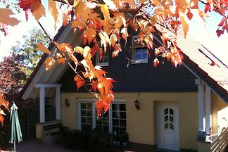 Domek letniskowy FH Carlotta - Harz-Holidays ®