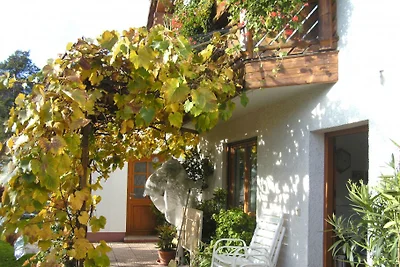 ****APART HAUS FLORIAN   TERRASSE