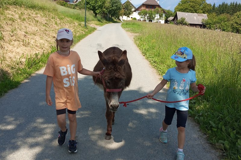 Kinder führen unsere Eselin Susi