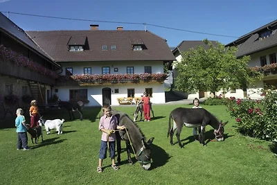 Bauernhaus Wohnung 3