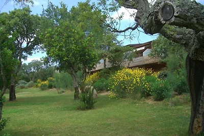 SANTA GIULIA