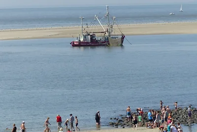 Borkum- 3***-Fewo für 2-4 Pers