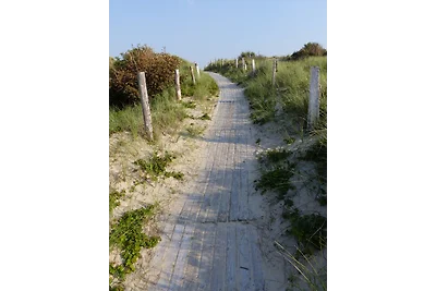 Borkum- 3***-Fewo für 2-4 Pers