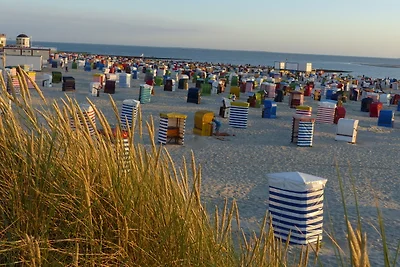 Borkum- 3***-Fewo für 2-4 Pers