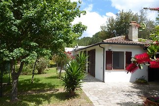 BUNGALOW - LA CONCIA