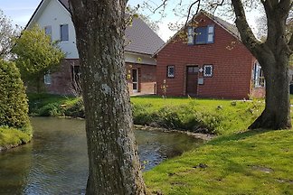 Ferienhaus Deichblick 1 mit Sauna