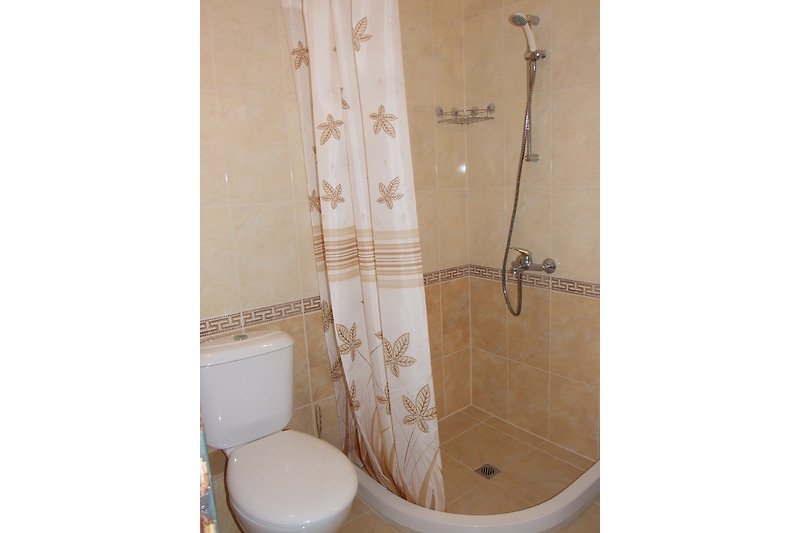 Modernes Badezimmer mit Keramikfliesen, Dusche und Toilette.