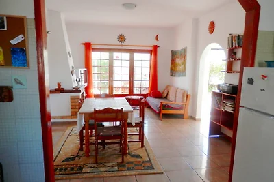 Casa das palmeiras