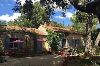 La Pichounette