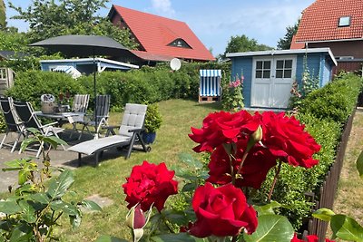 Vakantiehuis met terras aan zee