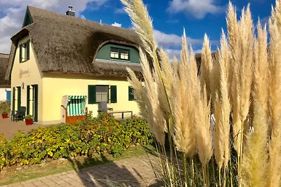 Casa di canne in riva al mare