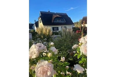 Casa di canne in riva al mare