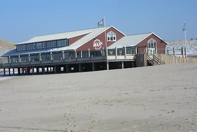 Petten Beach 18