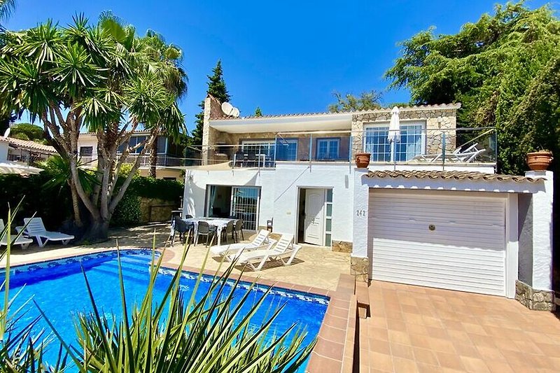 Villa di lusso con piscina, palme e arredo moderno.