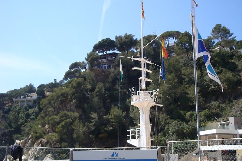 Wasserturm mit Flagge und Palmen am Wasser.