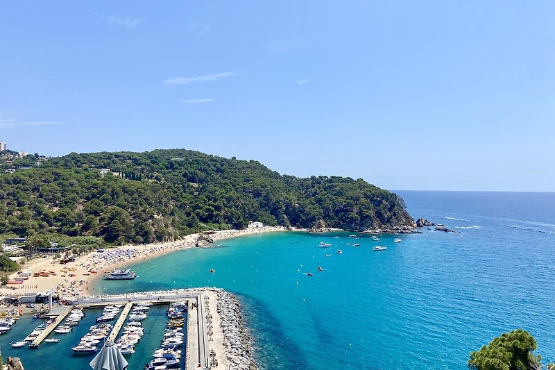 Karibische Küste mit klarem Wasser und Sandstrand.