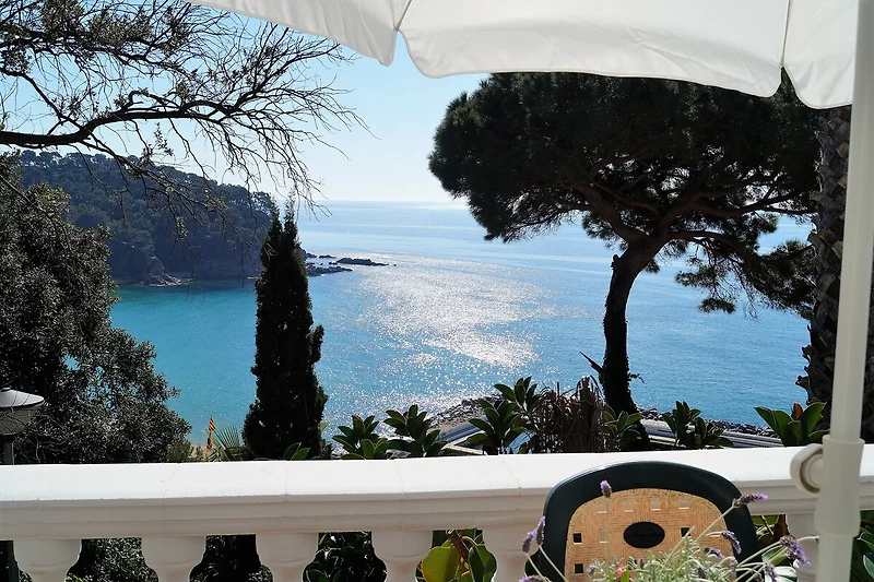 Entspannen Sie auf dem Balkon mit Blick auf Palmen, Meer und Sandbucht.