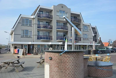 Petten Beach
