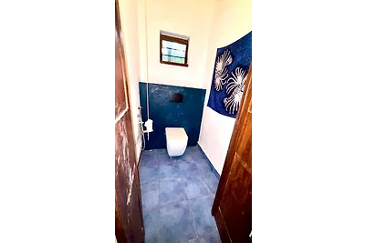 Private house with large garde