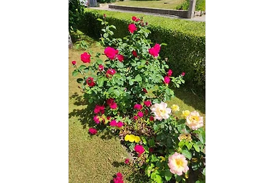 Ferienwohnung Gartenblick  
