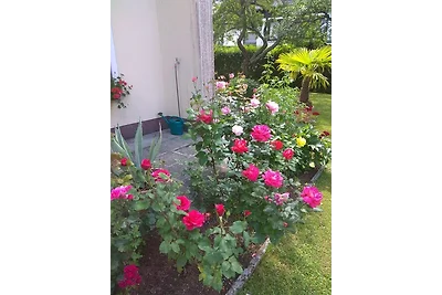 Ferienwohnung Gartenblick  